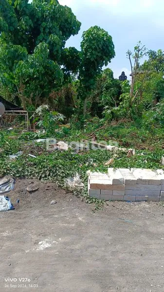 image TANAH DEKAT BANDARA (3)