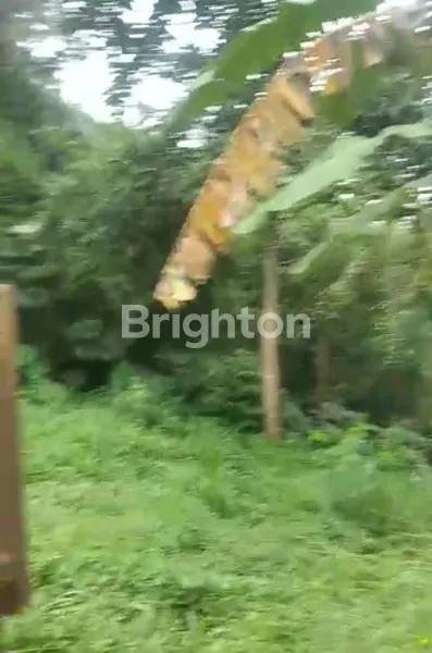 image TANAH STRATEGIS 1.500 M² DI PAMOYANAN – SHM – 100 METER DARI JALAN RAYA (1)