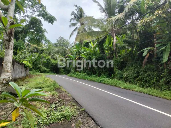 image TANAH DEKAT PANTAI (2)