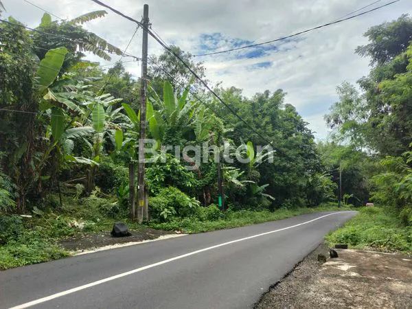image TANAH DEKAT PANTAI (3)