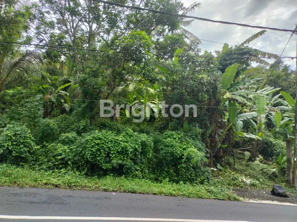 image TANAH DEKAT PANTAI (1)