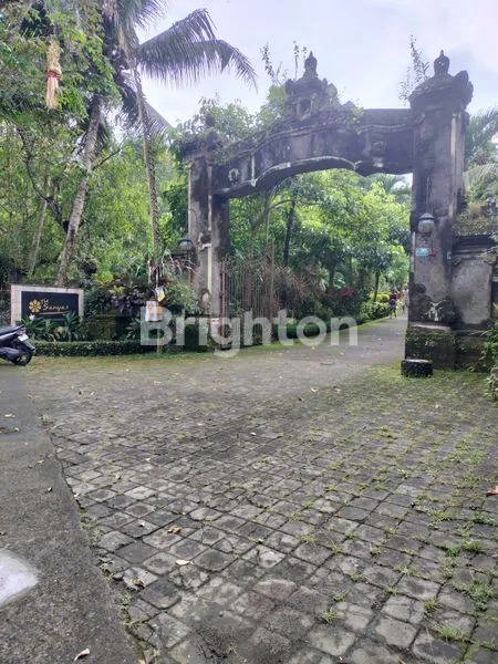 image TANAH DEKAT PANTAI (4)