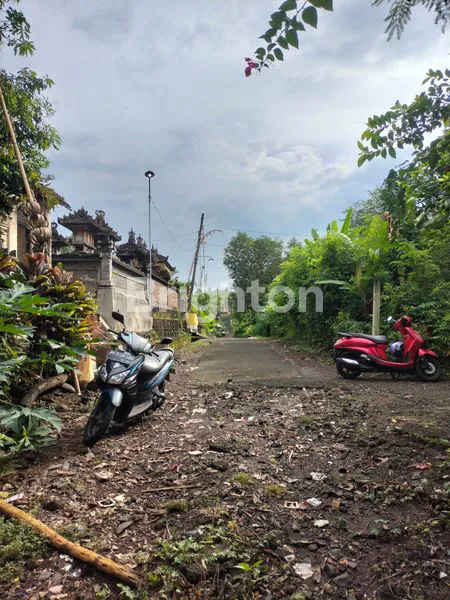 image TANAH DEKAT PANTAI (1)