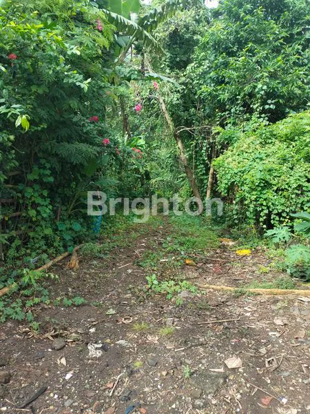 image TANAH DEKAT PANTAI (3)