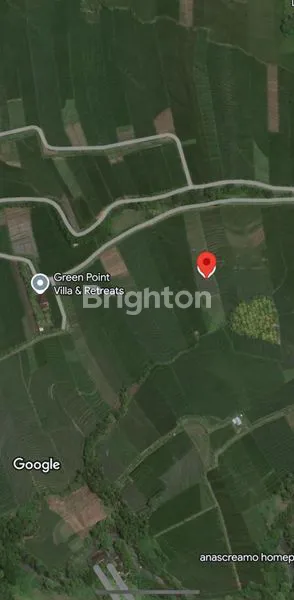 image DISEWAKAN TANAH DI KERAMBITAN VIEW SAWAH PEDESAAN AKSES DEKAT PANTAI (7)