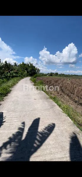 image DISEWAKAN TANAH DI KERAMBITAN VIEW SAWAH PEDESAAN AKSES DEKAT PANTAI (3)