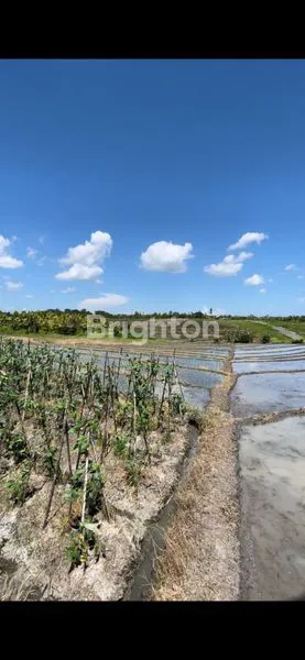 image DISEWAKAN TANAH DI KERAMBITAN VIEW SAWAH PEDESAAN AKSES DEKAT PANTAI (4)