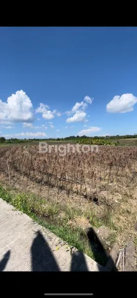 image DISEWAKAN TANAH DI KERAMBITAN VIEW SAWAH PEDESAAN AKSES DEKAT PANTAI (2)