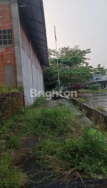 image TANAH DAN GUDANG STRATEGIS PELITA 3 (2)