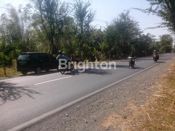 Gambar Property KAVLING STRATEGIS DI PROBOLINGGO TEGALSIWALAN LOKASI BAGUS