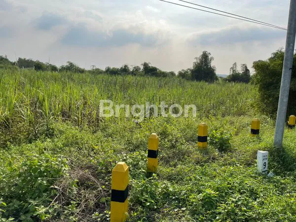 image DIJUAL TANAH RAYA GLUGU MANTUP LAMONGAN (1)