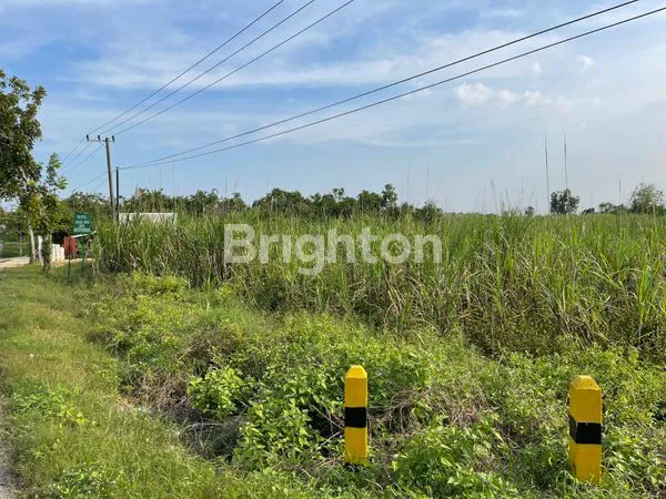 image DIJUAL TANAH RAYA GLUGU MANTUP LAMONGAN (2)