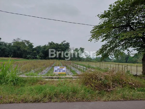 TANAH SAWAH DI TUNDAN, PURWOMARTANI,KAPANEWON KALASAN
