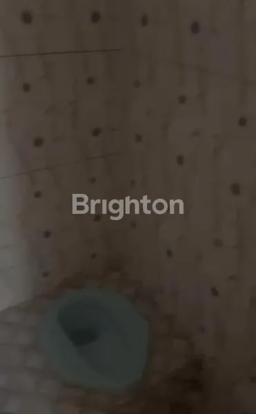 image RUMAH ASRI DI MENJING PANDEYAN (5)