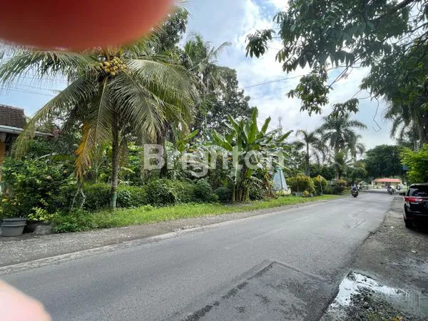 image DISEWAKAN TANAH PEKARANGAN STRATEGIS DI PINGGIR JALAN RAYA PENGASIH KULON PROGO  (3)
