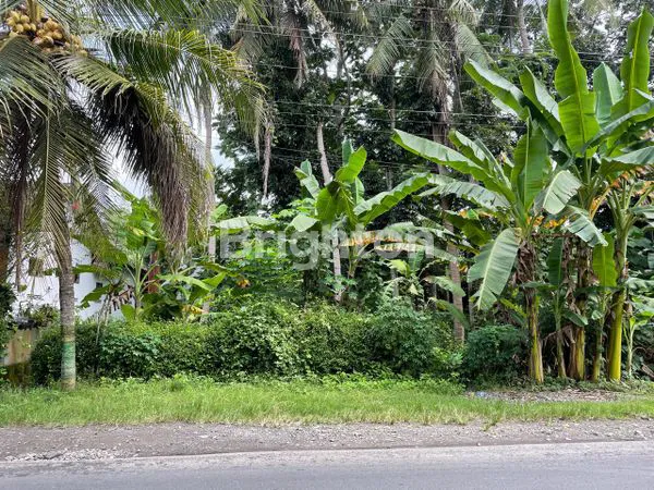 DISEWAKAN TANAH PEKARANGAN STRATEGIS DI PINGGIR JALAN RAYA PENGASIH KULON PROGO
