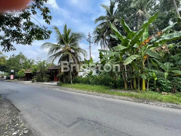 image DISEWAKAN TANAH PEKARANGAN STRATEGIS DI PINGGIR JALAN RAYA PENGASIH KULON PROGO  (2)