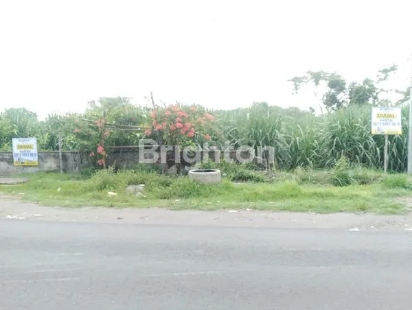 image DIJUALTANAH PEKARANGAN DIKEDIRI  (1)