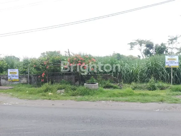 image DIJUALTANAH PEKARANGAN DIKEDIRI  (3)