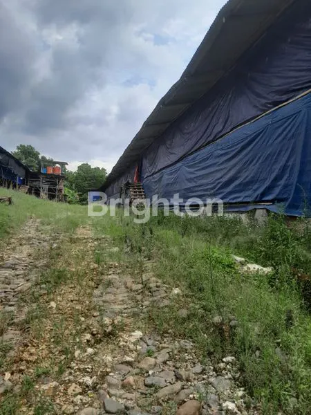 image LAHAN PETERNAKAN AYAM POTONG KP. CIBARENGKOK TANJUNGSARI BOGOR (8)