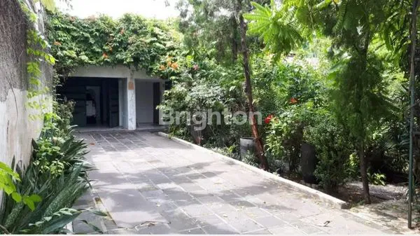 image RUMAH ASRI DI KEMANG, JAKARTA SELATAN (4)