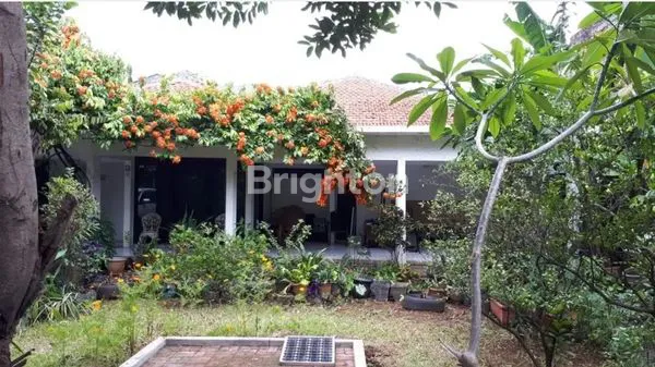 image RUMAH ASRI DI KEMANG, JAKARTA SELATAN (2)