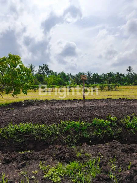 image TANAH KAVLING PREMIUM MODEL CLUSTER EKSKLUSIF DEKAT PINGGIR PANTAI TABANAN (3)