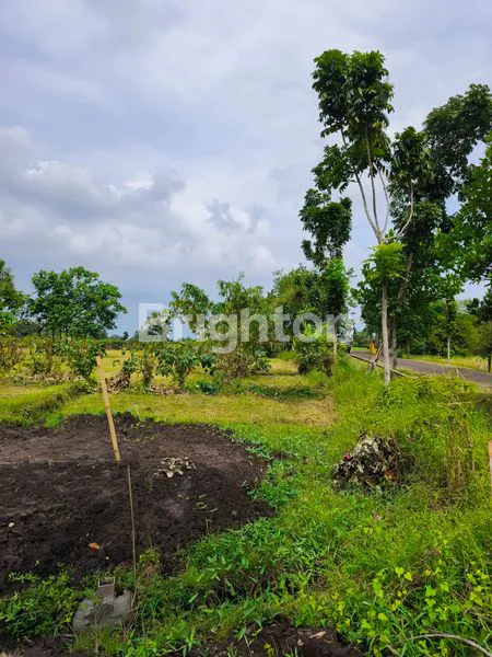 image TANAH KAVLING PREMIUM MODEL CLUSTER EKSKLUSIF DEKAT PINGGIR PANTAI TABANAN (5)