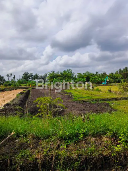 image TANAH KAVLING PREMIUM MODEL CLUSTER EKSKLUSIF DEKAT PINGGIR PANTAI TABANAN (8)
