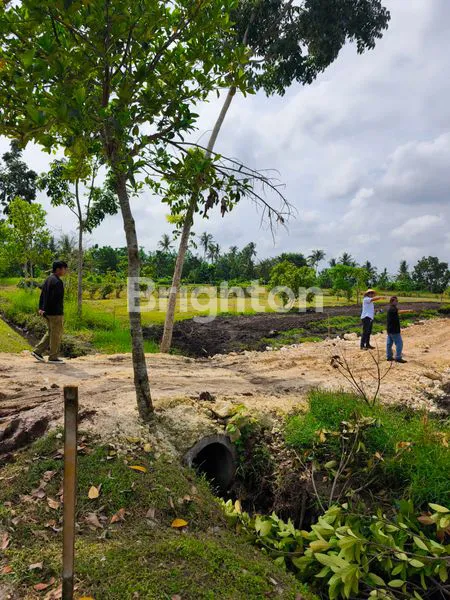 image TANAH KAVLING PREMIUM MODEL CLUSTER EKSKLUSIF DEKAT PINGGIR PANTAI TABANAN (6)