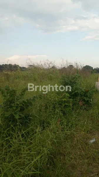 TANAH 2400M² STRATEGIS PERERENAN