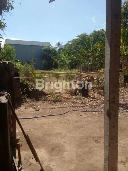 Dijual Murah Banget Tanah di Bile KubuTambahan - Singaraja