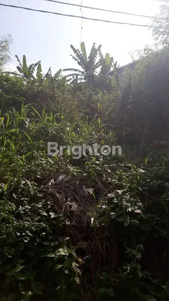 image TANAH BYPASS DHARMAGIRI GIANYAR (4)