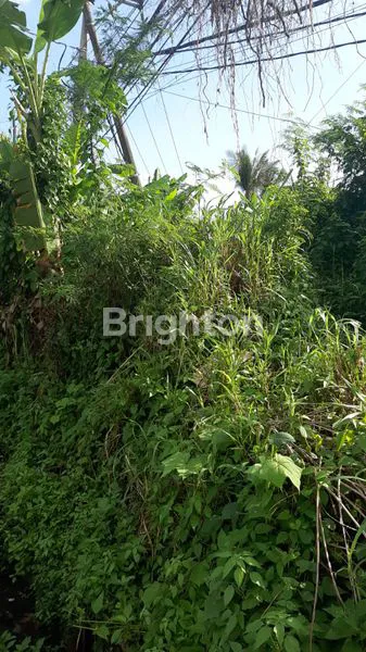 image TANAH BYPASS DHARMAGIRI GIANYAR (3)