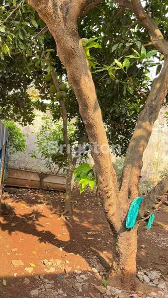 image TANAH DATAR PADAT KOSONG KAMPUNG RAWASAPI PONDOK TIMUR JATIMULYA BEKASI TIMUR BEBAS BANJIR (2)