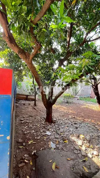 image TANAH DATAR PADAT KOSONG KAMPUNG RAWASAPI PONDOK TIMUR JATIMULYA BEKASI TIMUR BEBAS BANJIR (3)