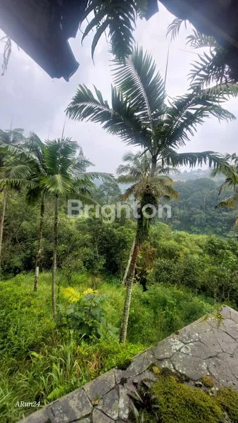 image VILLA DAN AREA WISATA OUTDOOR DIBOGOR (7)