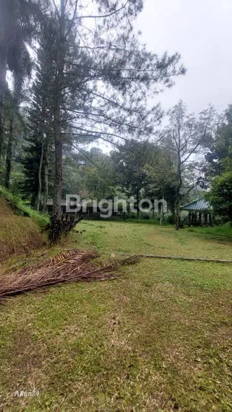 image VILLA DAN AREA WISATA OUTDOOR DIBOGOR (6)