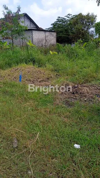 image TANAH KOSONG MENGANTI GRESIK (1)