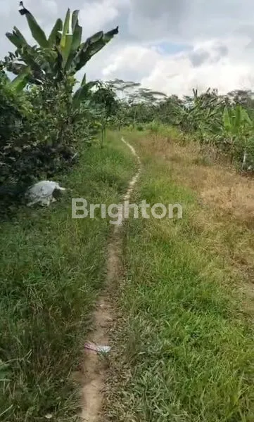 image TANAH POROS JALAN SOEKARNO HATTA KM 23 BALIKPAPAN (3)