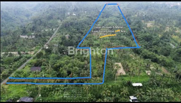 image TANAH TEGALAN DI KAWASAN VILLA SELUAS 1,64 HEKTAR VIEW PERSAWAHAN & HUTAN LEMBAH (1)