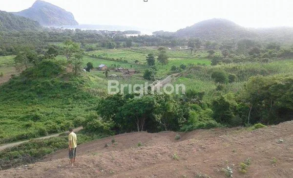 image 1.6 HECTARES OCEANVIEW LAND IN SEKONGKANG – 400M TO YOYO’S SURF | IDR 6.000.000.000 FREEHOLD PREMIUM CLIFFSIDE PLOT WITH HIGH INVESTMENT VALUE IN WEST SUMBAWA (2)