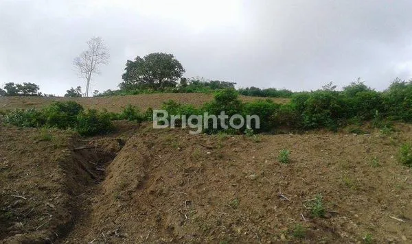 image 1.6 HECTARES OCEANVIEW LAND IN SEKONGKANG – 400M TO YOYO’S SURF | IDR 6.000.000.000 FREEHOLD PREMIUM CLIFFSIDE PLOT WITH HIGH INVESTMENT VALUE IN WEST SUMBAWA (3)