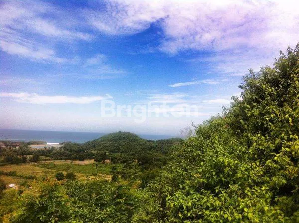 image 1.6 HECTARES OCEANVIEW LAND IN SEKONGKANG – 400M TO YOYO’S SURF | IDR 6.000.000.000 FREEHOLD PREMIUM CLIFFSIDE PLOT WITH HIGH INVESTMENT VALUE IN WEST SUMBAWA (6)