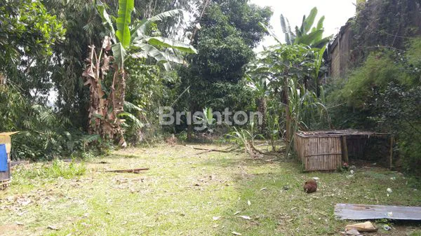 image DIJUAL TANAH BONUS RUMAH DI CISARUA PUNCAK BOGOR (7)