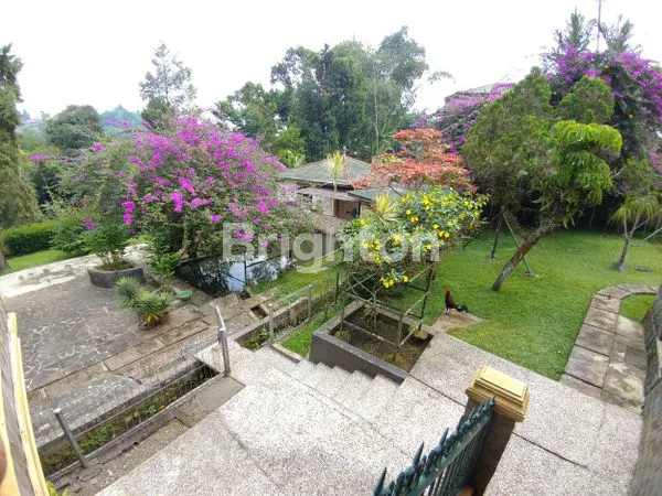 image DIJUAL TANAH BONUS RUMAH DI CISARUA PUNCAK BOGOR (2)