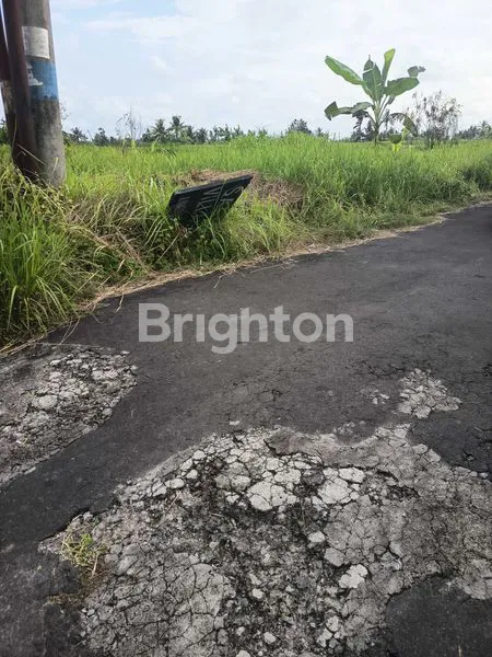 image  TANAH DI JALAN RAYA SABA (2)