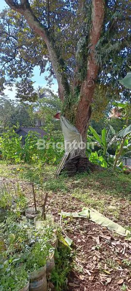 image TANAH CANTIK ,PEMANDANGAN GUNUNG (7)