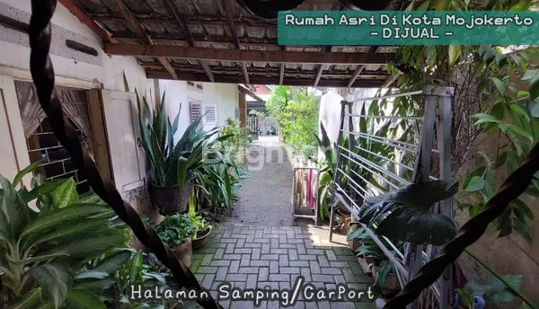 image RUMAH KLASIK ASRI (3)