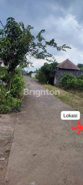 image TANAH MURAH 3.403 M2 SIAP BANGUN PERUMAHAN (BONUS TANAH KEBUN/SAWAH 1.000 M2) DI JL. BIMA, SIDORAHAYU, KEC. WAGIR KAB MALANG (4)